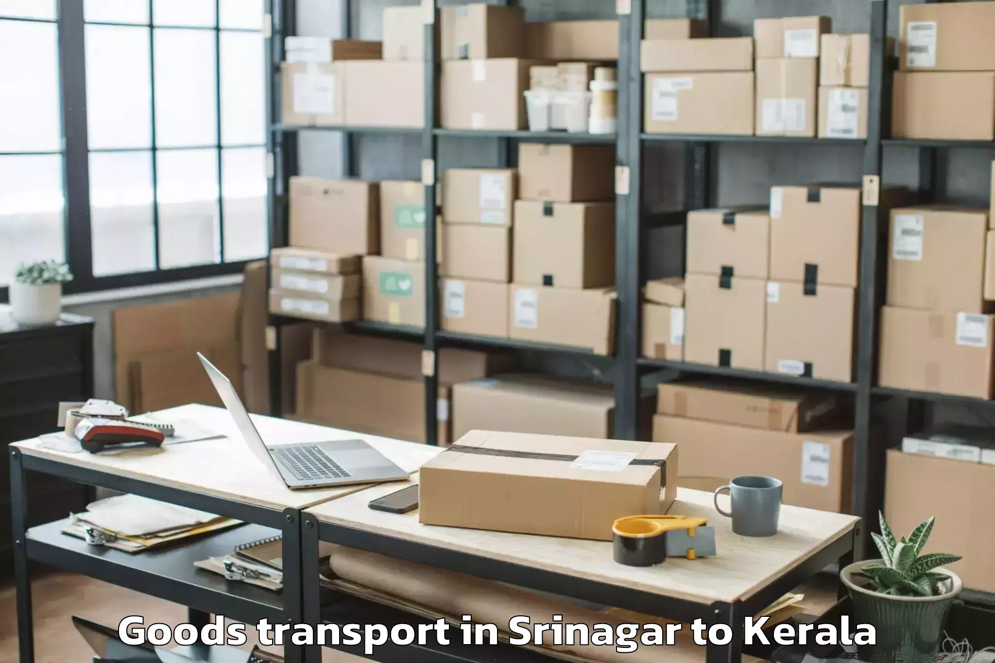 Srinagar to Kovalam Goods Transport